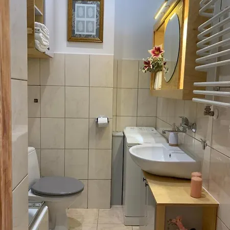 Apartment Like-a House Centrum Plock