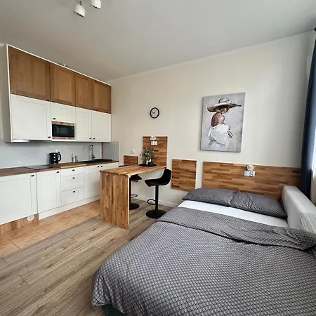 Like-a House Centrum 公寓 普沃茨克