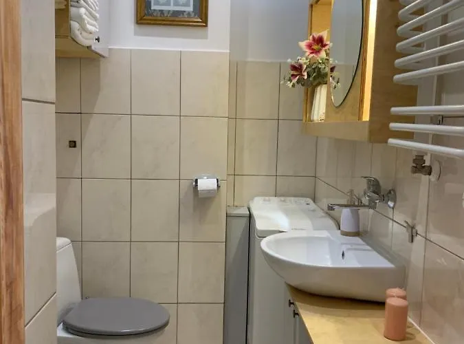 Apartment Like-a House Centrum Plock