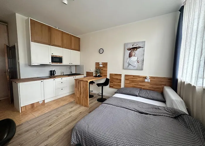 Like-a House Centrum Apartment Plock